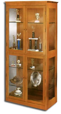 Proudly display company awards, prized trophies, special product lines, memorabilia, personal mementos or unique collections in a Showcase that will add prestige to any office or room. Make the 200 series Showcase the focal point of any office or room. 