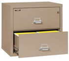 2-Drawer Lateral Files.