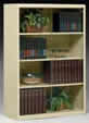 4-Openings Executive Bookcase.