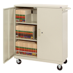 TCC model is designed for the transport and temporary storage of files.