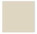 Standard Paint: Textured Bone White T15 