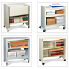 Mobile Carts, Files Cart, Multi-media Cart, Printer Stand and more.