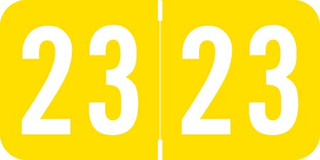 afs-acme-yellow-acym-23-t4