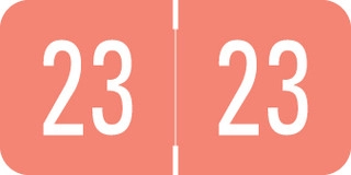 afs-digi-pink-dgym-23-t4