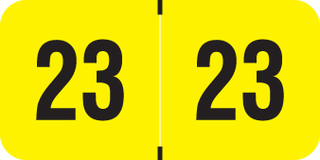 afs-pma-fl-yellow-fyym-23-t4