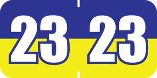 pos-blue-yel-pbyv-23-t4