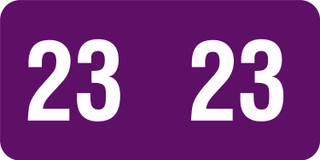 SMEAD-MATCH-2023-YEAR-LABEL-PURPLE-21823