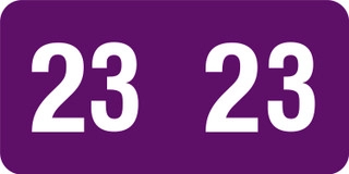 SMEAD-MATCH-2023-YEAR-LABEL-PURPLE-90823