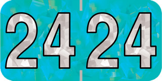 holog-aqua-HAYM-24-T4
