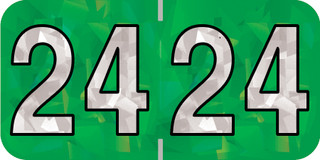 holog-green-hgym-24-t4