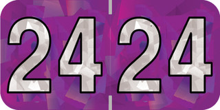 holog-purp-hpym-24-t4