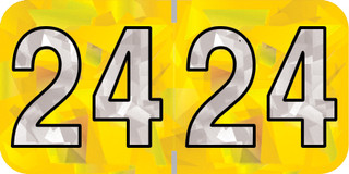 holog-yel-hyym-24-t4