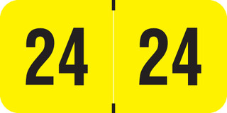 pma-fl-yel-fyym-24-t4