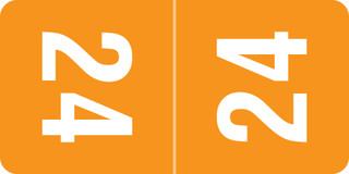 smead-orange-ttpk-24