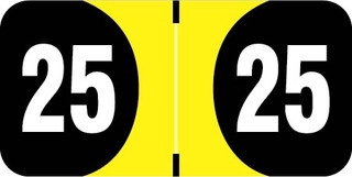 FilingSupplies.com-Brand-2025-Yearband-Label-Yellow-ADYM-25-T4