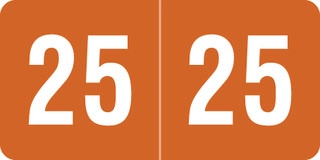2025-Year-Label-Smead-Brown-Laminated-SYPK-25