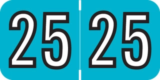 Barkley-YearBand-Label-Rolls-500-2025-Teal-Blk-BKYM-25-B45
