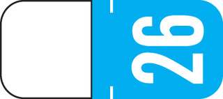 2026-Year-Label-Tab-For-Top-Tab-Application-Light-Blue-A1308-26-T3