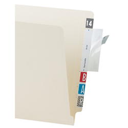 File folder clear label protector.