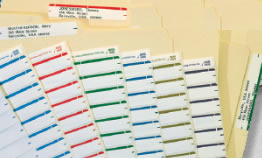 File folder name labels.